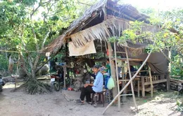 Xót lòng cha tâm thần, con hôn mê vì ung thư máu