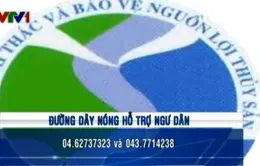 Công bố đường dây nóng hỗ trợ ngư dân 