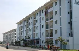 Kiểm tra nhà tái định cư ở một số đô thị lớn