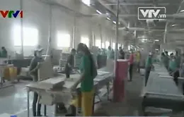 Bộ Tài chính: Khẩn trương triển khai các biện pháp hỗ trợ doanh nghiệp