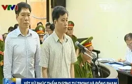 Xét xử phúc thẩm Dương Tự Trọng và đồng phạm