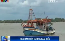 Ngư dân các địa phương kiên cường bám biển khẳng định chủ quyền 