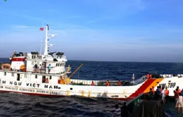 Tiếp tế lương thực, thực phẩm ở vùng biển Hoàng Sa 