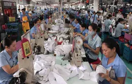 Bổ sung giải pháp hỗ trợ doanh nghiệp khắc phục thiệt hại