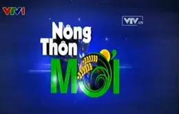 Xây dựng nông thôn mới ngày 31/5/2014