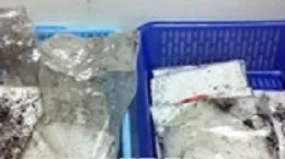 Nam Định: Bắt hai "nữ quái" vận chuyển 15 bánh heroin