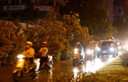 Mưa giông quật đổ nhiều cây xanh tại Hà Nội