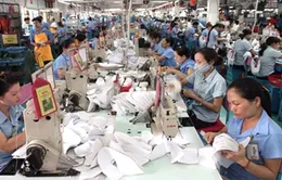 Doanh nghiệp lạc quan về triển vọng phục hồi và phát triển
