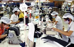 Cơ quan Thuế đồng loạt hỗ trợ DN bị thiệt hại