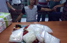 Phá đường dây vận chuyển ma túy từ Hải Phòng vào TP.HCM