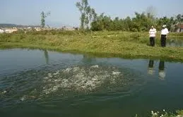 Nuôi cá trê lai, lãi ròng 200 triệu đồng/năm