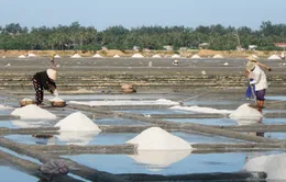 Bán 20kg muối mới đủ tiền mua… 1kg gạo