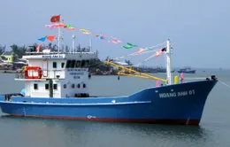 Đóng tàu vỏ sắt cho ngư dân phải an toàn, hiệu quả