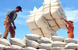 Đa dạng hóa thị trường xuất khẩu gạo