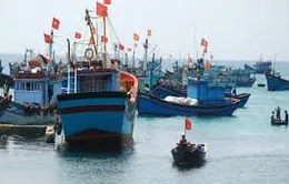Vì sao ngư dân chưa mua bảo hiểm tàu cá?