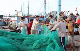 Hỗ trợ mua bảo hiểm thân thể cho ngư dân