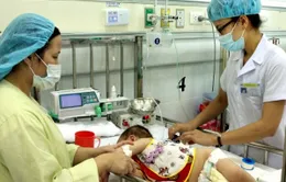 Bộ Y tế khuyến cáo người dân về bệnh viêm não Nhật Bản 