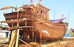 Chính phủ ban hành chính sách hỗ trợ ngư dân