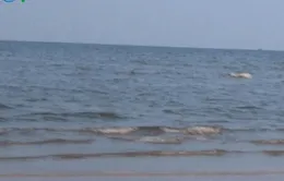Tắm biển, nam thanh niên bị sóng lớn bất ngờ cuốn chìm