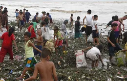 27 người Philippines thiệt mạng vì bão Rammasun