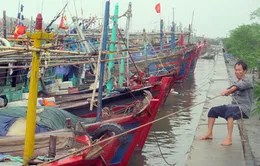 Các địa phương chủ động phòng chống bão Rammasun