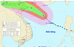 Bão Rammasun cách quần đảo Hoàng Sa 250km