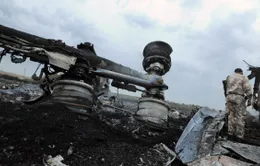 Quân đội và lực lượng đòi liên bang hóa Ukraine cáo buộc nhau vụ máy bay MH17 rơi