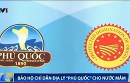 Bảo hộ chỉ dẫn địa lý “Phú Quốc” cho nước mắm