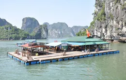 Không giao quyền quản lý Nhà nước đối với vịnh Hạ Long cho Bitexco
