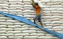 Tăng cường kiểm soát xuất khẩu gạo sang Trung Quốc