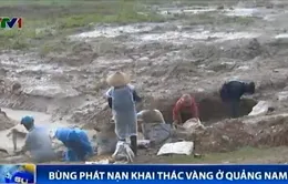 Bùng phát nạn khai thác vàng ở Quảng Nam 