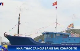 Tàu cá composite - Bước ngoặt mới cho ngư dân khai thác cá ngừ