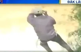 Đăk Lăk: Hàng trăm hộ dân đu dây vượt sông canh tác