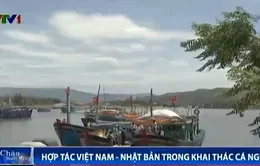Ngư dân Bình Định tập trung đón tàu cá Việt - Nhật cập bến