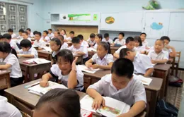 Đà Nẵng: Giải quyết triệt để tình trạng tuyển sinh trái tuyến 	