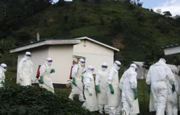 Dịch Ebola tiếp tục diễn biến phức tạp 