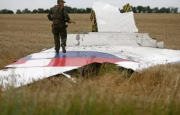 Ngoại trưởng Mỹ muốn Nga, Ukraine hợp tác điều tra vụ MH17 rơi 