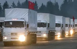 Đoàn xe cứu trợ của Nga tiến về biên giới Ukraine