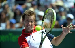 Thua trận, Gasquet khen Del Potro là số 1