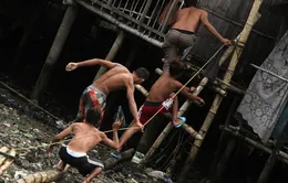 Chùm ảnh: Siêu bão Haiyan càn quét qua Philippines
