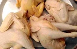 Bất thường tăng vọt gà đông lạnh lậu   