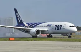 Tạm dừng sử dụng máy bay Dreamliner