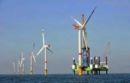 Phát triển điện gió: Vướng mức giá bán điện 