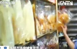 Phát hiện vây cá mập giả tại Trung Quốc