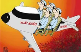 Cảnh báo hành vi lừa tuyển lao động đi châu Phi   
