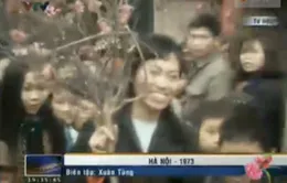 Tết Quý Sửu 1973 - Tết hoà bình đầu tiên      