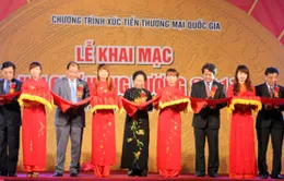 Phó Chủ tịch nước Nguyễn Thị Doan dự các hoạt động Giỗ tổ