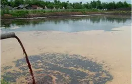 Tăng mức xử phạt ô nhiễm tới 2 tỉ đồng    