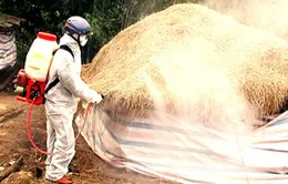 Tạm dừng nhập khẩu gia cầm qua các cửa khẩu      