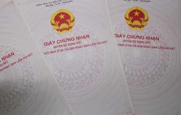 Hàng ngàn hộ dân TP.HCM muốn trả sổ đỏ - Vì sao?